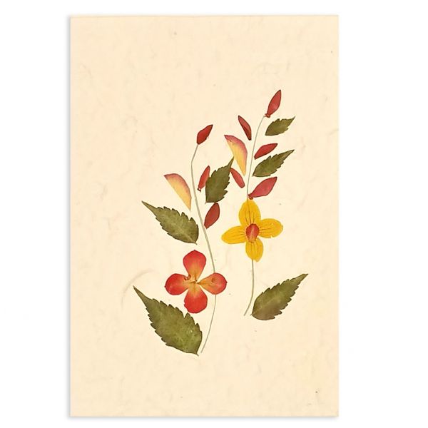 SAA-Grusskarte mit echten Blüten | Motiv Nr. 48